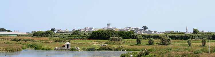 IMG_1804.jpg IMG_1804.jpg